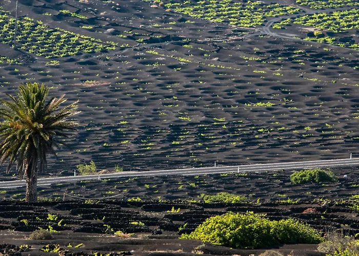 Home2book Sunny Retreat & Pool, アパート コスタ・テギセ